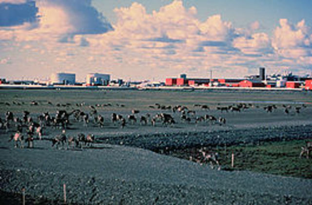 Prudhoe Bay