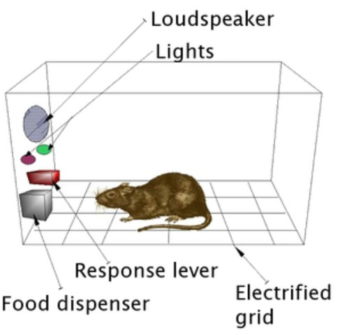 Invention of the Skinner Box
