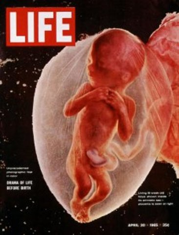 Life Magazine BANNED