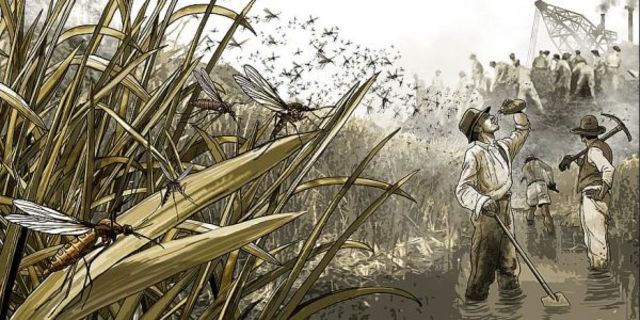 The Outbreak of Sickness