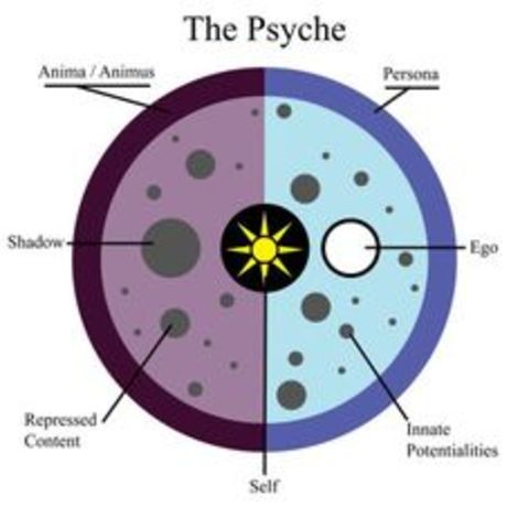 Jung Begins privately practicing psychoanalysis