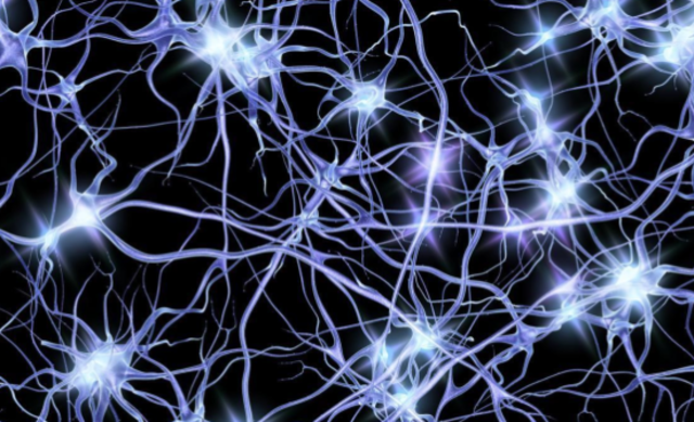 Most active neuron time