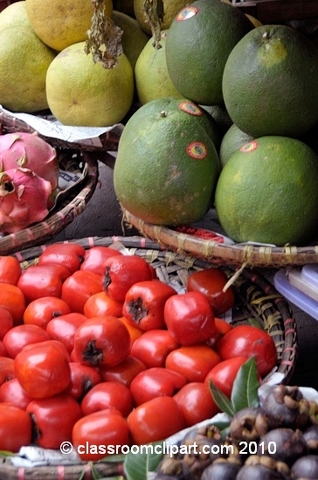 I became a vegetarian