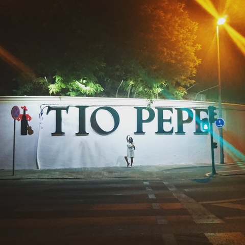 Visita a Jerez de la Frontera