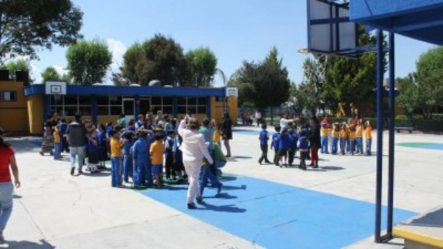 Mau 3 year in primary