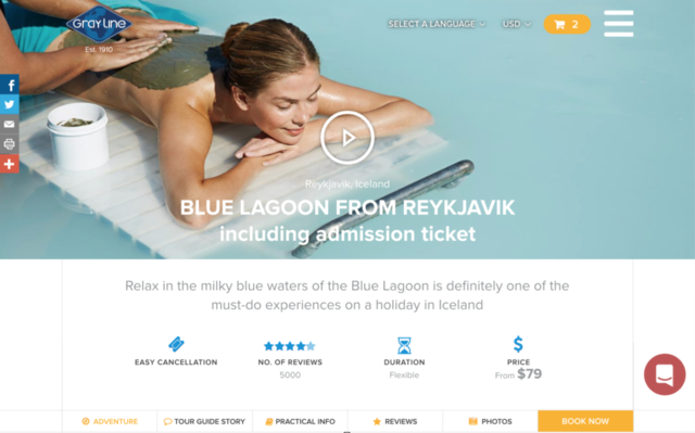 Launch new front-end website