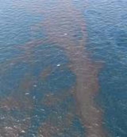 Gulf of Mexico spill