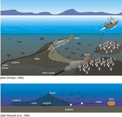 South Pacific deep sea trawling ended