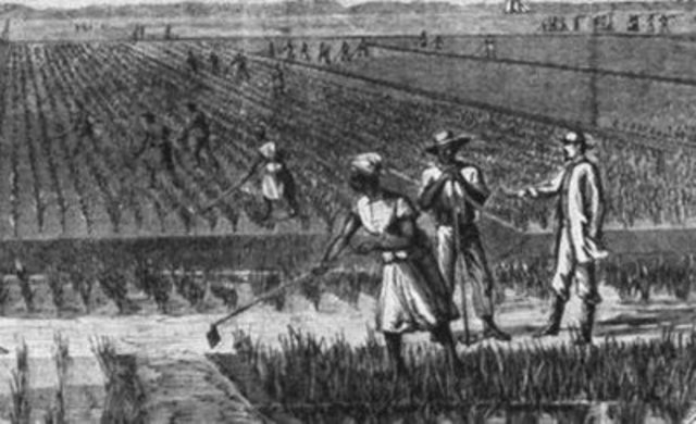 1867 Agricultural Gangs Act