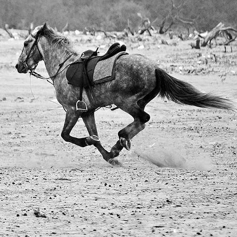 Frederick attempts to escape Prussia