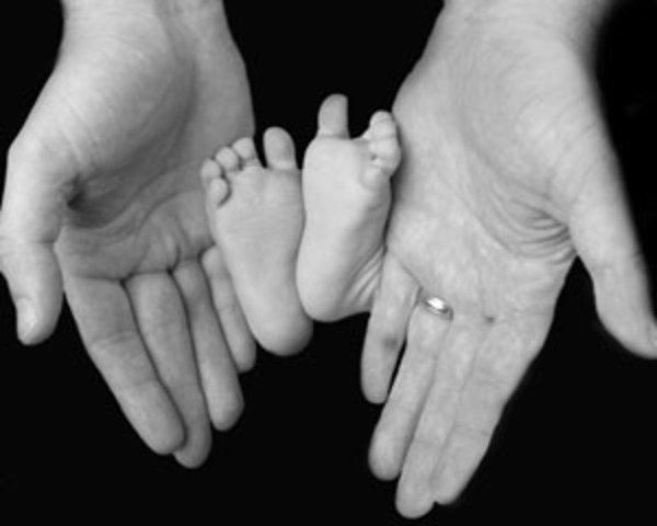 "Adopción contrato" Ley número 7.613