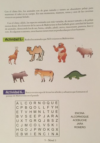 Quinta actividad: ¿Qué animales y qué vegetación había en el entorno de Maltravieso?