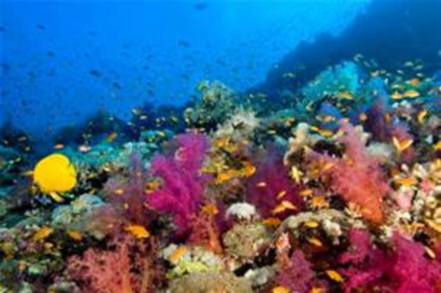 Three Interesting facts about Jacques Cousteau