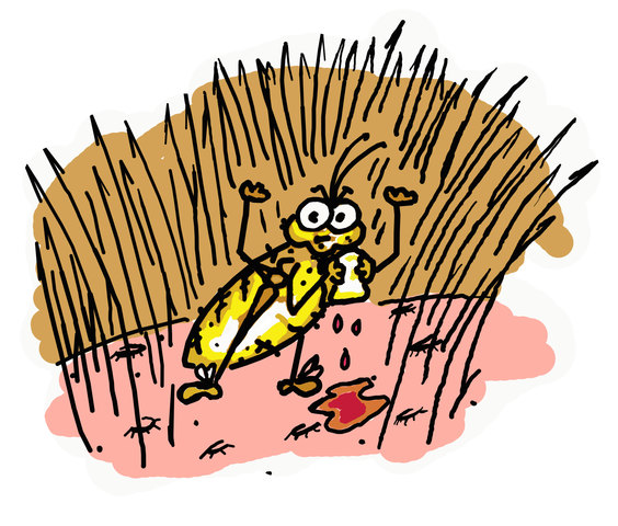 Daniel Has Typhus//Ch. 12