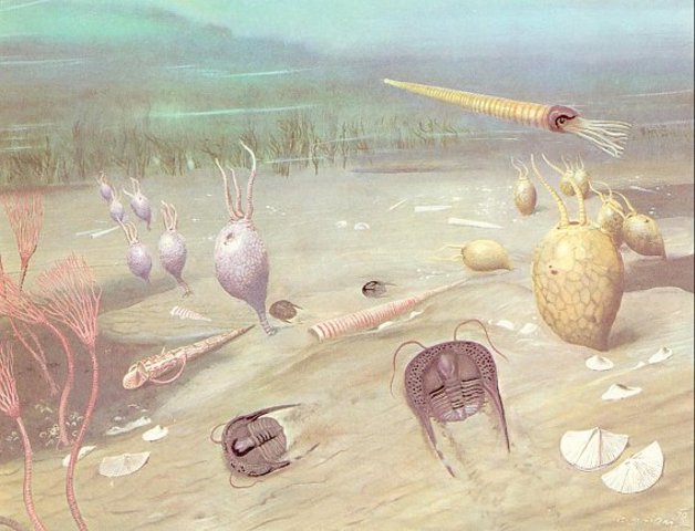 Ordovician Period 500-435MYA