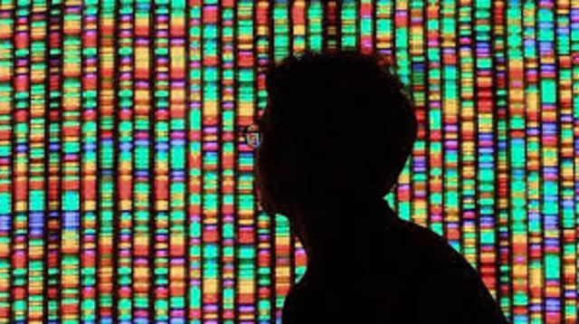 The Human genome is fully sequenced