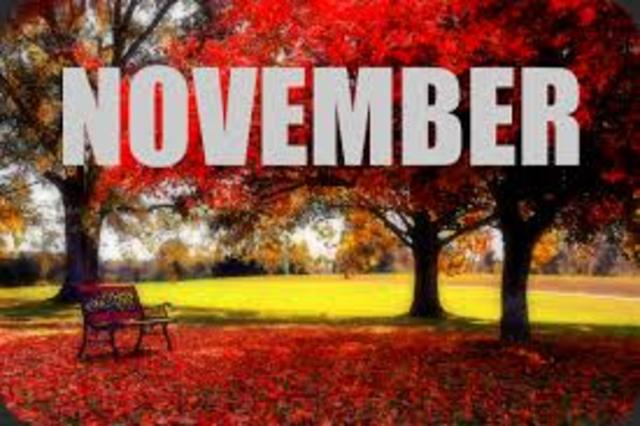 1. November