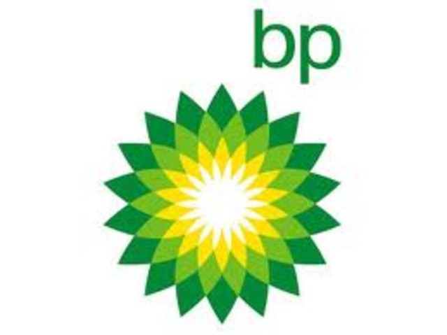 The BP Oil Spill