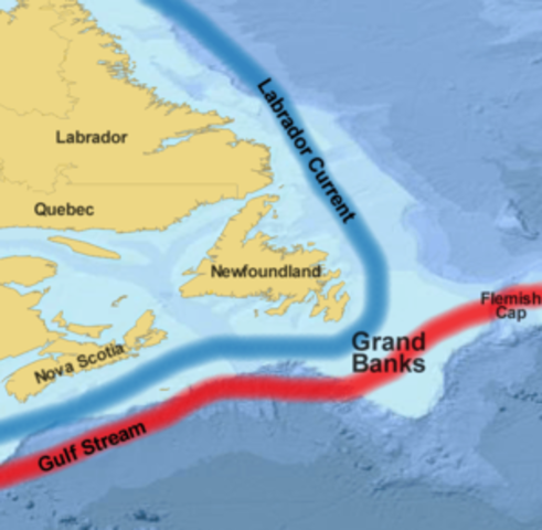 Discovery of Grand Banks