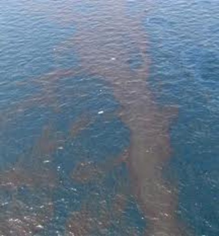 Oil Spill in the Gulf of Mexico