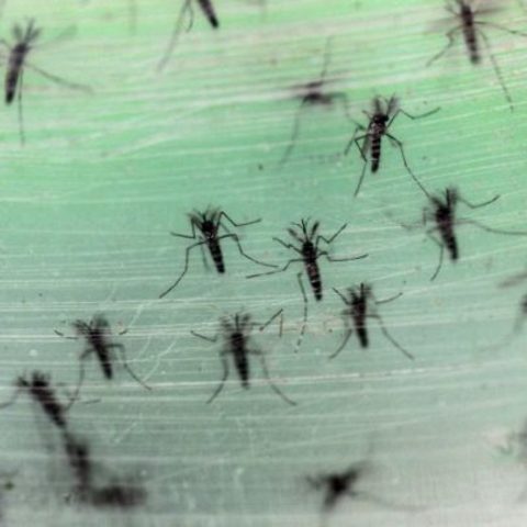 The Outbreak of Disease