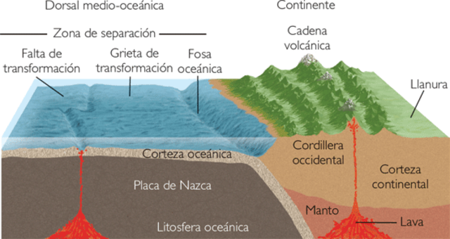 CORRIENTES DE CONVENCIÓN