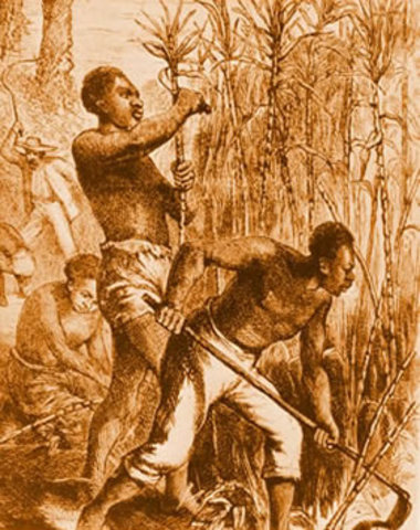 Africans Arrive in Jamestown.