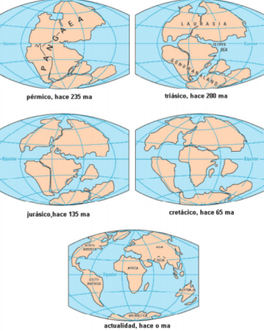 Deriva continental según Wegener