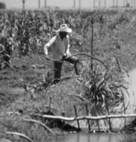 Se crea la Confederación Nacional de la Pequeña Propiedad Agrícola