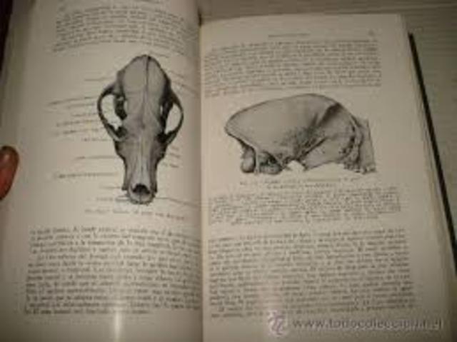 Anatomía de los animales domésticos