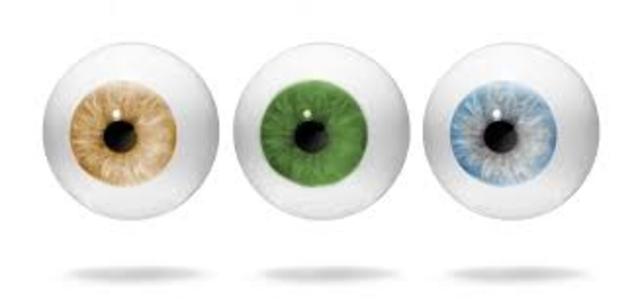 Se utiliza la primera prótesis ocular