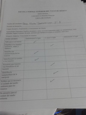 Plan de acción para la innovación