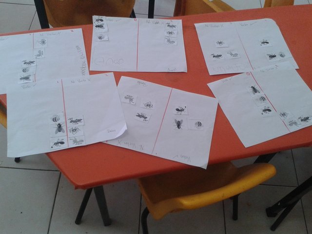 Delimitacion del contexto