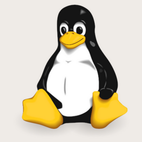 LINUX