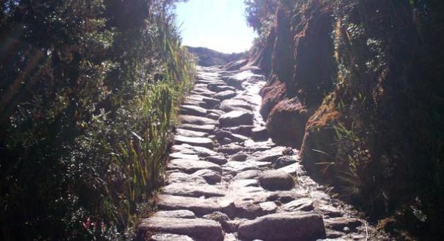 CREACCIÓN DE RED DE CAMINOS.