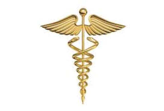 Importância da perícia contábil