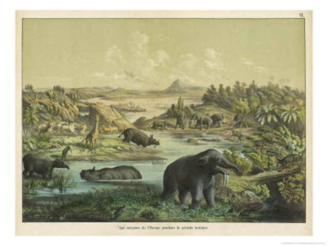 Tertiary Period (65 M- 1.8M)