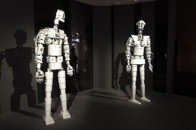 Robot en conservation