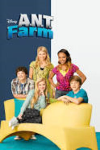 Ant Farm