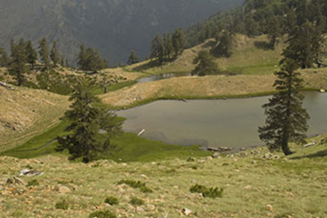 Βάλια Κάλντα