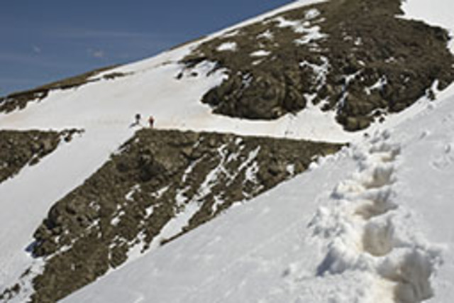 Από την Κατάρα στην Καστανιά