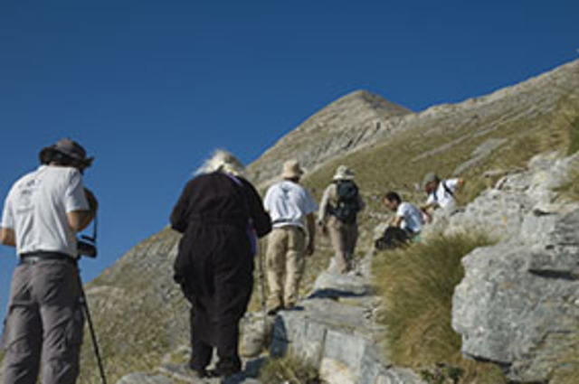 Ταΰγετος (υψ. 2407 μ.)