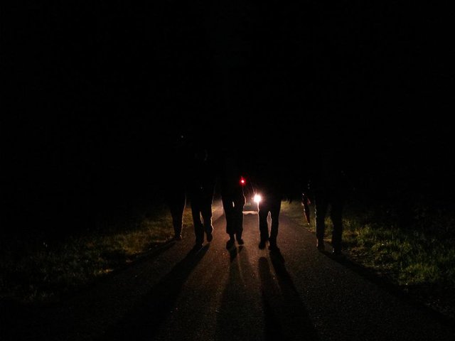 Dragon League appears