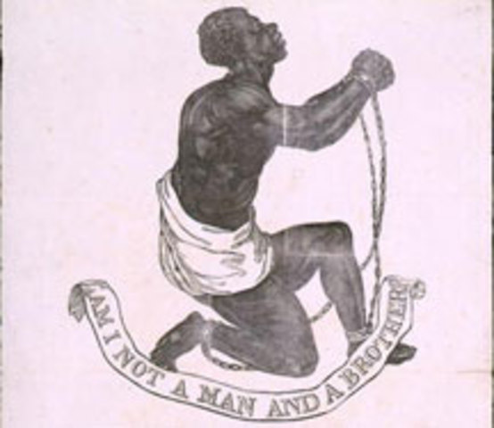 The Fugitive Slave Law