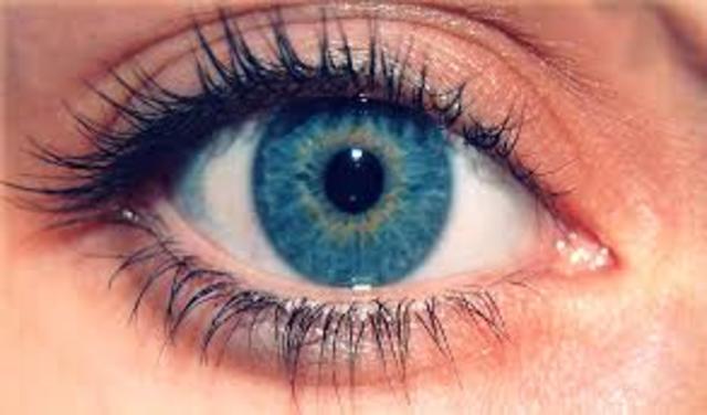 Primera semana de intervención