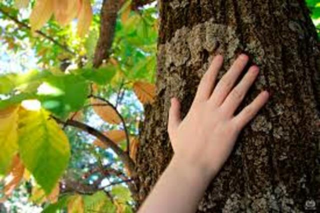 Primera semana de intervención