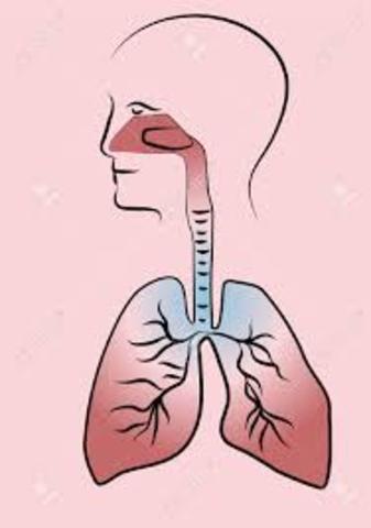 Segunda semana de intervención