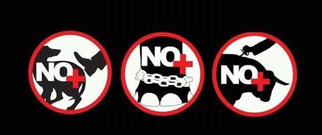 Ley de Protección y Bienestar de los Animales en la Ciudad de México