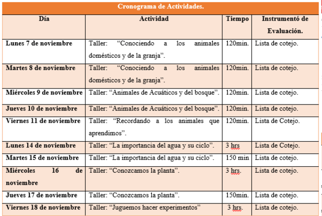 Plan de acción para la innovación.