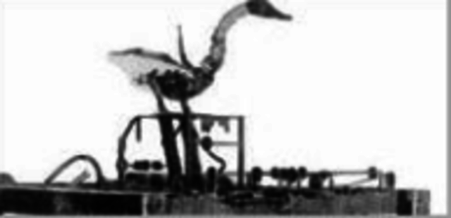 canard degirateur de jacques de vancauson 738